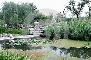 Jinling corner of the garden