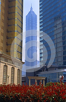 Jinmao Tower in Shanghai