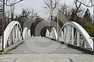 Jiu Bridge or Ferdinand Bridge