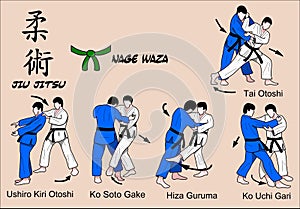 Jiu Jitsu green belt