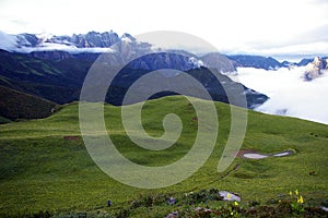 Jiudingshan Mountain meadow