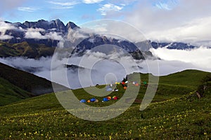 Jiudingshan Mountain meadow