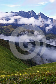 Jiudingshan Mountain meadow