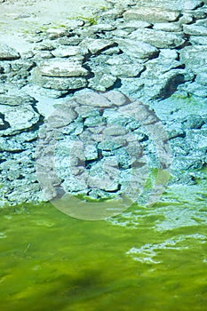 Jiuzhaigou colorful lake details sichuan province