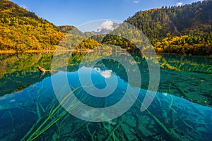 Jiuzhaigou and Five Flower Lake , Unesco national park during autumn in Ngawa Tibetan and Qiang in Sichuan , China : 17 October