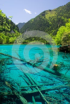 Jiuzhaigou wuhua pool