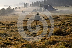 Jizera mountain panorama, Czech Republic