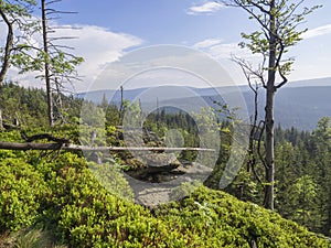 Jizera Mountains jizerske hory panorama, view from hill Frydla