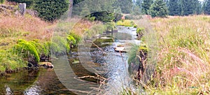 Jizerka river - Jizerky bog, Czech republic