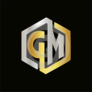 Ector letter DM logo elegant colors