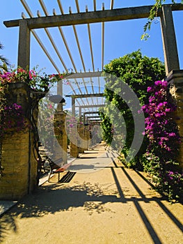 Joan Miro Park in Barcelona photo