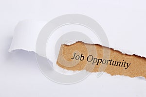 Job Opportunity