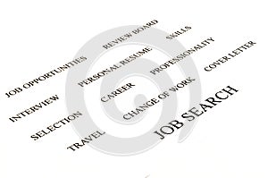 Job search