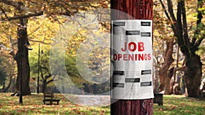 Job seeking photo