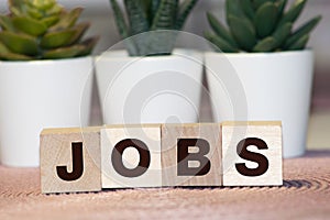 JOB word wooden block arrange in vertical style on white background and selective focus