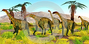Jobaria Dinosaurs