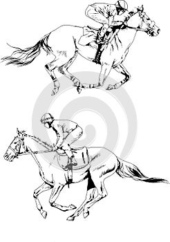 Jockey on a galloping horse painted with ink by hand