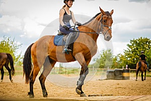 Jockey girl doing horse riding on countryside meadow