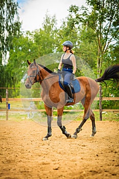 Jockey girl doing horse riding on countryside meadow