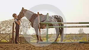 Jockey girl is stroking a horse on open manege, slow motion