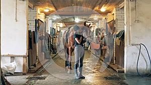 Jockey girl is stroking a horse in the stables