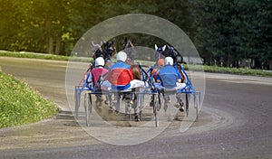Jockey and horse. Racing horses competing with each other. Race in harness with a sulky or racing bike. Harness racing