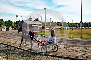 Jockey and horse. Trotting horse race. Race in harness with a sulky or racing bike. Harness racing. Trotting horse race