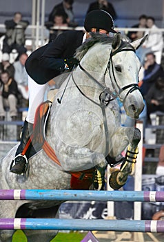 The jockey jumps through an obstacle