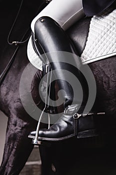 Jockey prepearing horse for the equestrian ride photo