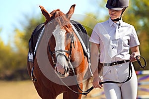 Jockey with purebred horse