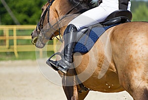 Jockey riding boot