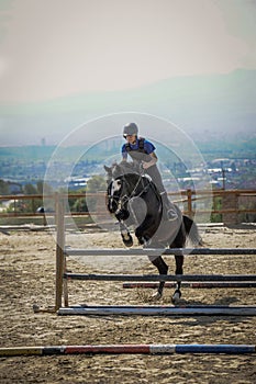 Jockey riding a fast thoroughbred horse