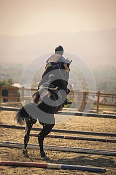 Jockey riding a fast thoroughbred horse