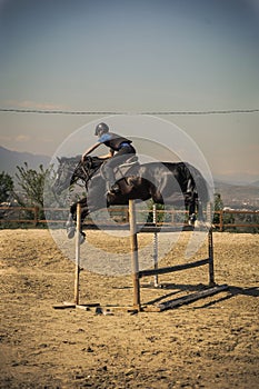 Jockey riding a fast thoroughbred horse