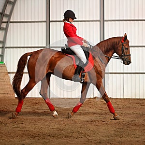 Jockey riding a horse gait