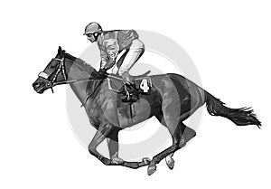 Jockey riding race horse - realistic vector
