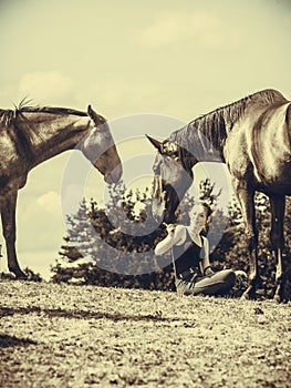 Jockey woman sitting with horses on meadow