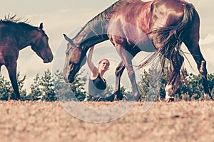 Jockey woman sitting with horses on meadow