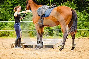 Jockey young woman getting horse ready for ride