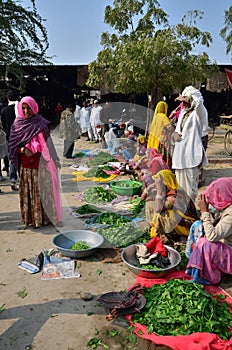Jodhpur, India - January 2, 2015: Indian people shopping at typical vegetable street market in India