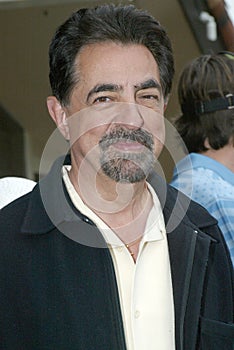 Joe Mantegna