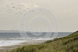 Jogger op strand, Jogger at beach