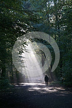 Jogger running in dark wood silhouetted against shaft of sunlight