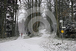 Jogger in wintry forest