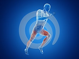 a joggers muscles