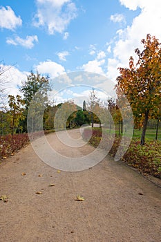 Jogging or hiking trail in a park in the autumn