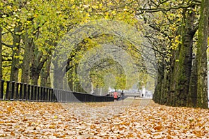 Jogging, Hyde Park, London