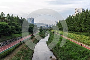 Jogging pathway near Han River