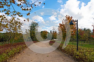 Jogging or running trail in a park in the autumn.