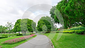 Jogging track in garden of public park among greenery trees, flower shrub and bush, black asfalt concrete walkway photo